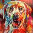 Labrador